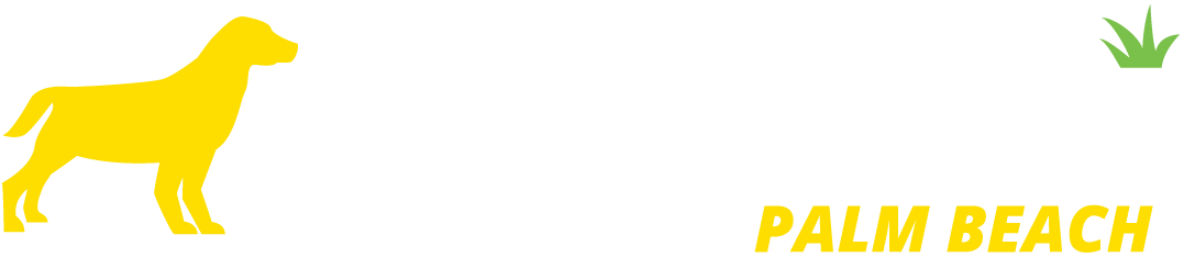 Palm Beach Turf Cleaning