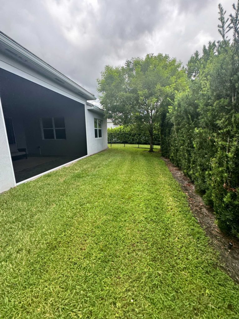 artificial-grass-cleaners-in-palm-beach