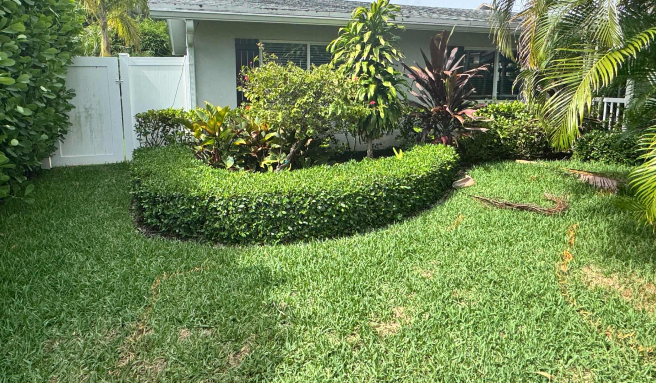 backyard-turf-cleaning-palm-beach
