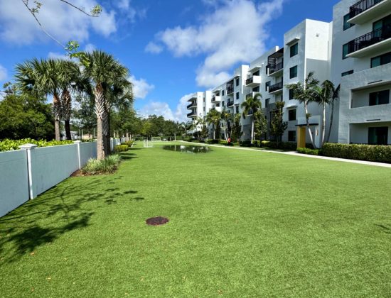 artificial-turf-cleaning-palm-beach