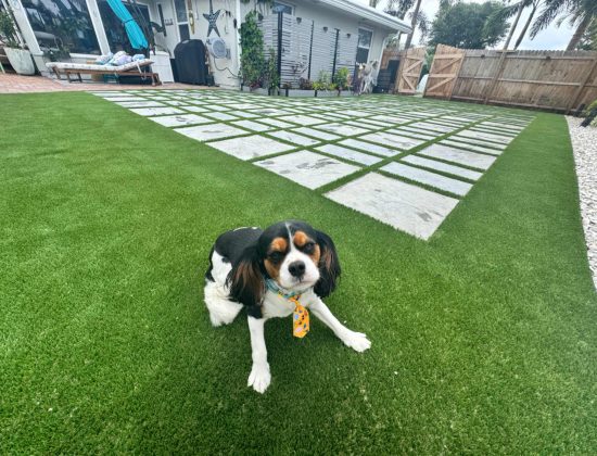 pet-odor-removal-artificial-grass-palm-beach