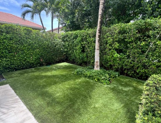 professional-turf-cleaning-in-palm-beach