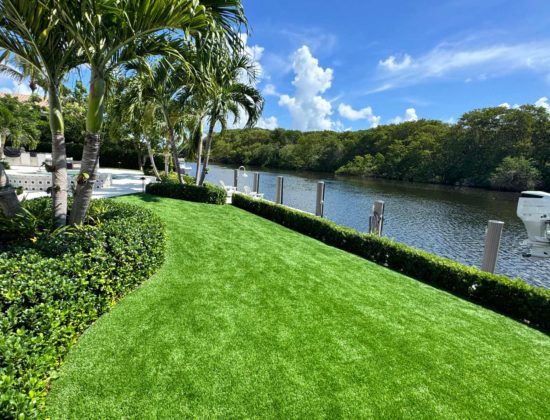turf-cleaning-experts-palm-beach